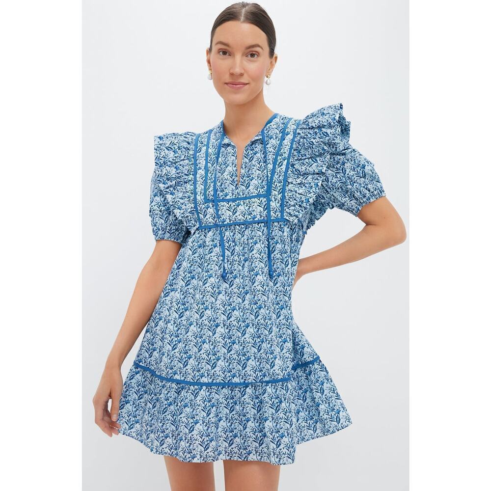 HYACINTH HOUSE Blue Floral Rosaleigh Mini Dress Size XS NWT